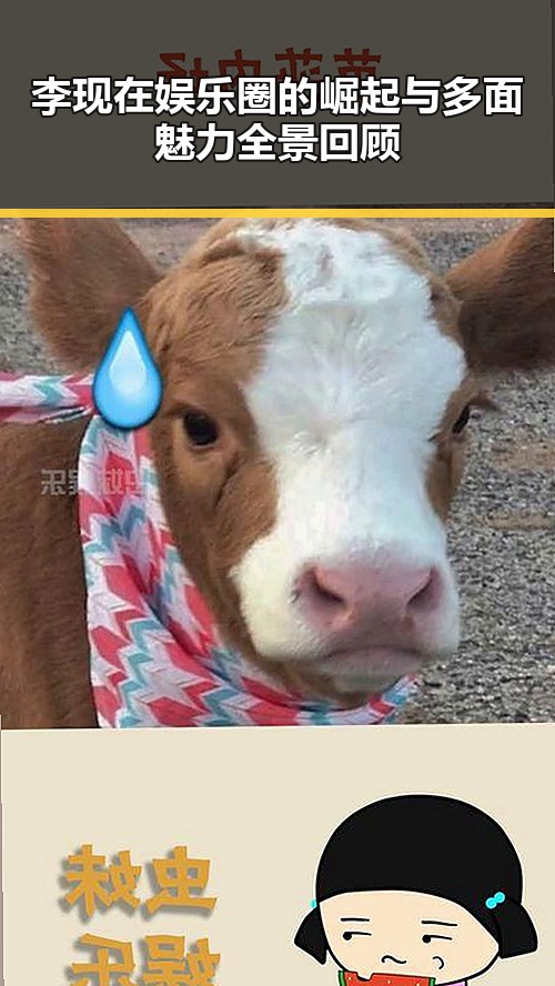 李现在娱乐圈的崛起与多面魅力全景回顾