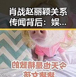 肖战赵丽颖关系传闻背后：娱乐圈的真相与吃瓜心态