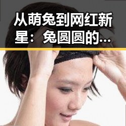 从萌兔到网红新星：兔圆圆的崛起与未来