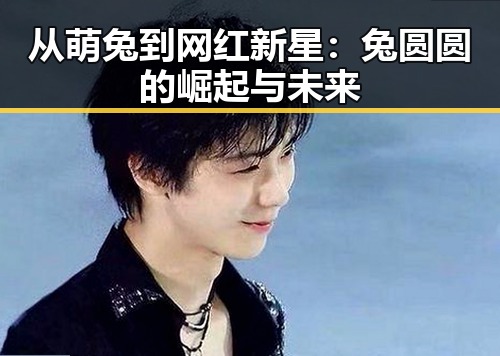 从萌兔到网红新星：兔圆圆的崛起与未来