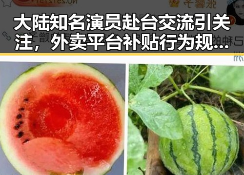 大陆知名演员赴台交流引关注，外卖平台补贴行为规范十条出台引发讨论
