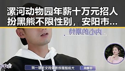 漯河动物园年薪十万元招人扮黑熊不限性别，安阳市提高城乡低保标准引关注