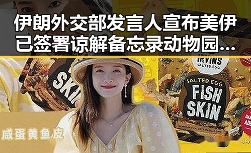 伊朗外交部发言人宣布美伊已签署谅解备忘录动物园年薪十万元招黑熊引热议