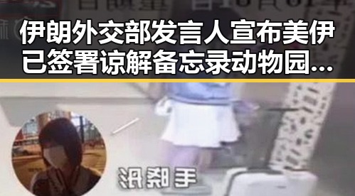 伊朗外交部发言人宣布美伊已签署谅解备忘录动物园年薪十万元招黑熊引热议