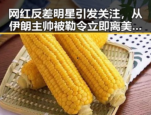 网红反差明星引发关注，从伊朗主帅被勒令立即离美到河南端午假期多阵雨